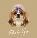 Shih Tzu Dog Portrait. Vector Illustration