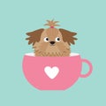 Shih Tzu dog sitting in pink cup with heart. Cute cartoon character. Flat design. Blue background.