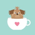 Shih Tzu dog sitting in pink cup with heart. Cute cartoon character. Flat design. Blue background.