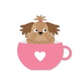 Shih Tzu dog sitting in pink cup with heart. Cute cartoon character. Flat design. White background.