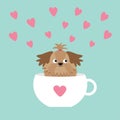 Shih Tzu dog sitting in white cup with heart. Cute cartoon character. Flat design. Blue background.