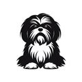 Shih Tzu Icon, Dog Black Silhouette, Puppy Pictogram, Pet Outline, Shih Tzu Symbol Isolated on White Royalty Free Stock Photo
