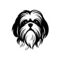 Shih Tzu Icon, Dog Black Silhouette, Puppy Pictogram, Pet Outline, Shih Tzu Symbol Isolated on White Royalty Free Stock Photo