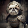 Shih tzu in medieval armor. Portrait of a shih tzu.