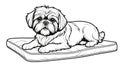 Shih Tzu Naptime: Coloring Mattress Adventure