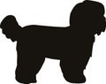 Shih Tzu silhouette black Royalty Free Stock Photo