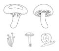 Shiitake, brown cap boletus, enokitake, milk. set collection icons in outline style vector symbol stock illustration web