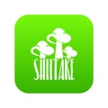 Shiitake icon green vector