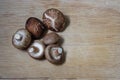 Shiitake mushroom