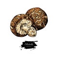 Shiitake mushroom hand drawn vector illustration set. Sketch food drawing Royalty Free Stock Photo