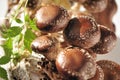 Shiitake mushroom and jiaogulan leaves. Royalty Free Stock Photo