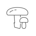 Shiitake mushroom line outline icon