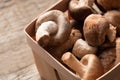 Shiitake mushroom on wooden table, close up Royalty Free Stock Photo