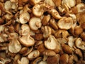 Shiitake mushrooms Royalty Free Stock Photo
