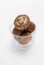Shiitake mushrooms isolated . Royalty Free Stock Photo