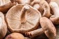Shiitake mushrooms. Macro. Food background