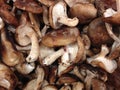 Shiitake Mushrooms for Sale. Royalty Free Stock Photo