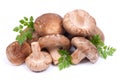 Shiitake mushrooms Royalty Free Stock Photo