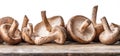 Shiitake mushrooms on the wooden background. Royalty Free Stock Photo