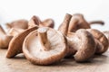 Shiitake mushrooms on the wooden background Royalty Free Stock Photo