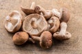 Shiitake mushrooms on the wooden background Royalty Free Stock Photo