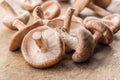 Shiitake mushrooms on the wooden background Royalty Free Stock Photo