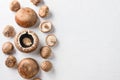 Shiitake and portobello  mushrooms set on white background. Top view space for text Royalty Free Stock Photo