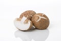 Shiitakes in white background Royalty Free Stock Photo