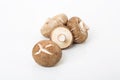 Shiitakes in white background 2 Royalty Free Stock Photo