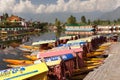 Shikara boats on Dal Lake with houseboats in Srinagar