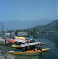 Shikara boats on Dal Lake in Srinagarm, India