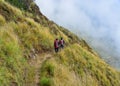 Annapurna trekking trail in Nepal