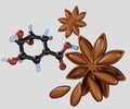 Shikimic acid molecule from star anise flower and seeds