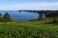 Shikotan island's coast