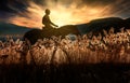 Shilhouette of girl on horseback at sunset