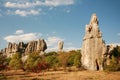 stone forest