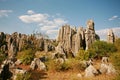 stone forest