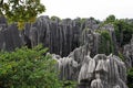 Shilin Stone Forest