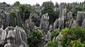 Shilin Stone Forest