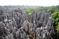 Shilin Stone Forest