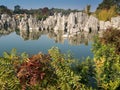 Shilin Stone Forest Royalty Free Stock Photo