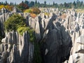 Shilin Stone Forest Royalty Free Stock Photo
