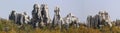 Shilin stone forest Royalty Free Stock Photo