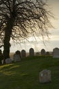 Shillington graveyard (2)