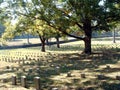 Shiloh Cemetery Royalty Free Stock Photo