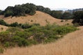 Shiloh Ranch Regional The park includes oak woodlands, forests of mixed evergreens, ridges with sweeping views of the Santa Rosa Royalty Free Stock Photo
