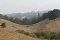 Shiloh Ranch Regional The park includes oak woodlands, forests of mixed evergreens, ridges with sweeping views of the Santa Rosa Royalty Free Stock Photo