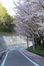 The Shimanami Kaido the most popular bicycle route in japan.