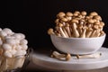 Shimeji mushroom. Fresh uncooked buna brown and bunapi white shimeji edible mushrooms from Asia, rich in umami tasting compounds Royalty Free Stock Photo