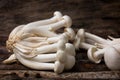 Shimeji mushroom or White beech mushroom on rustic wooden background